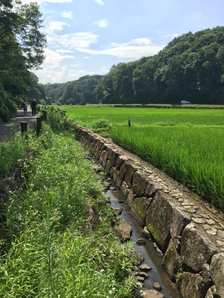 見渡す限りの田園風景！寺家ふるさと村 園ママカフェ