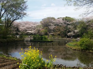 T12_1