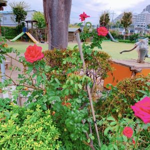やまた幼稚園 園庭（都筑区 東山田）