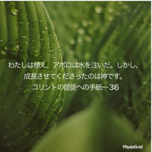 D0B1717D-9C0E-4D5A-B528-39B6F4B9FDDD