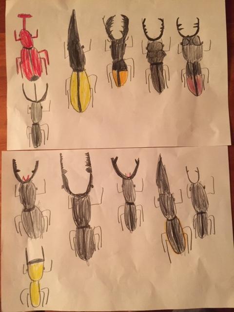 我が家の カブトムシ コレクション 園ママカフェ