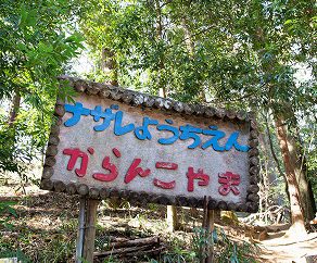 newからんこ山１