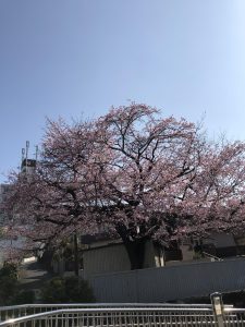 D616D689-A4F0-46E2-853D-6F1D746B6E23