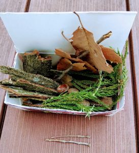 ナザレ幼稚園　からんこ山　山遊び　お弁当　ビタミンママ